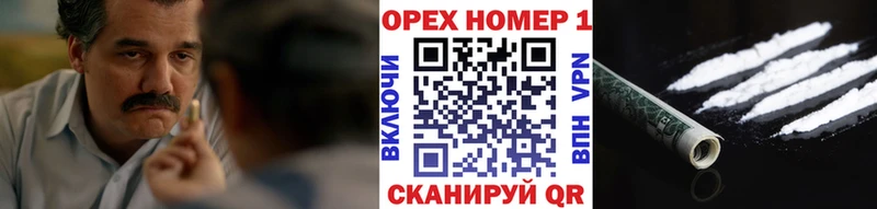 ссылка на мегу маркетплейс  наркота  Шенкурск  COCAIN Fish Scale 