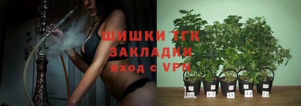 крисы Беломорск