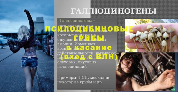 крисы Беломорск