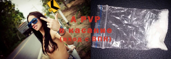 прущие крисы Белокуриха