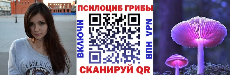 Галлюциногенные грибы мицелий  мориарти состав  Шенкурск 